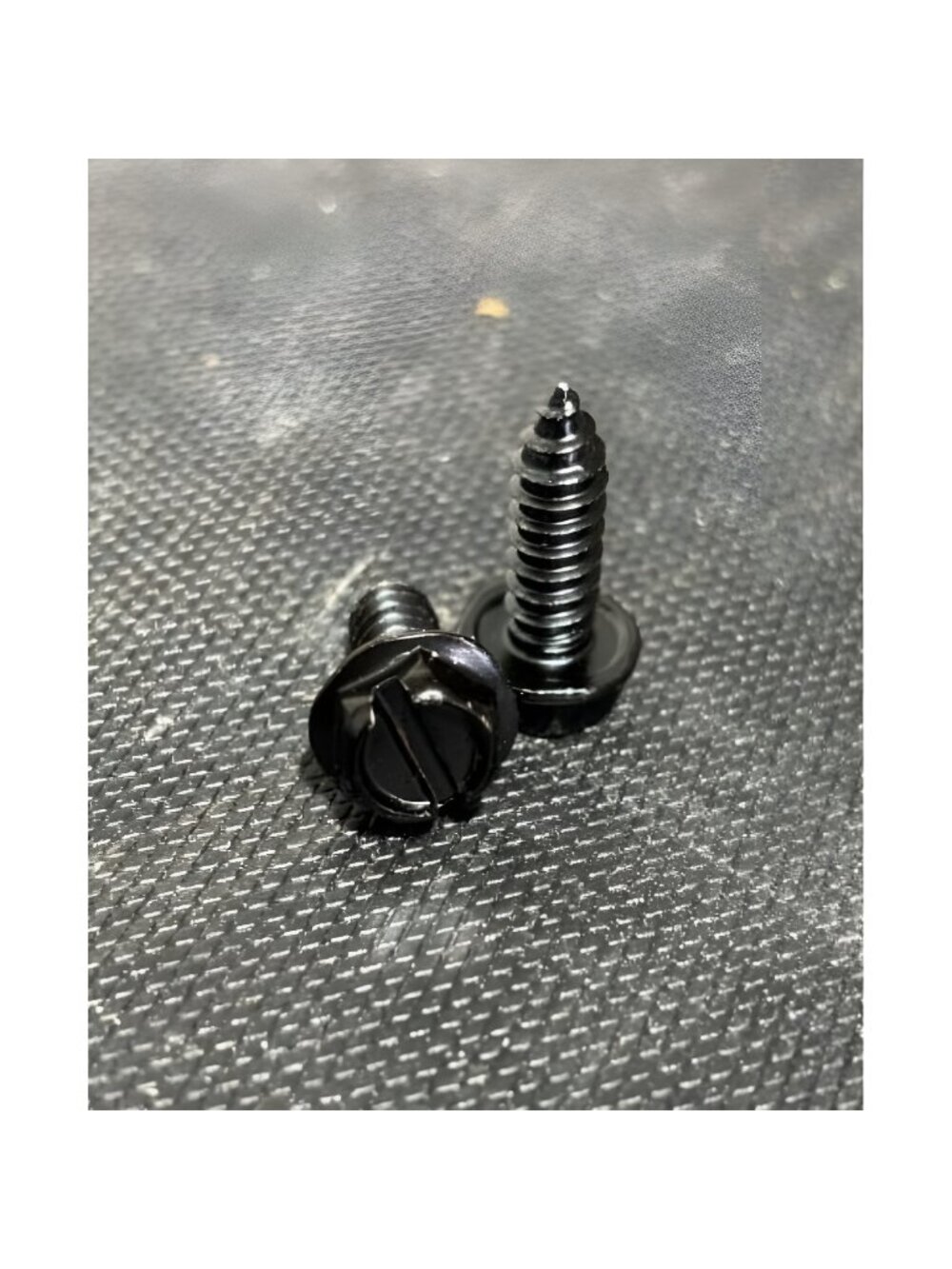 License Plate Screws with Rustproof Finish - License Plate Screw Kit